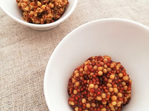 ぷちぷち*自家製マスタード